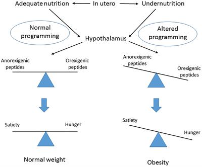 Genetics and Epigenetics: New Insight on Gestational Diabetes Mellitus